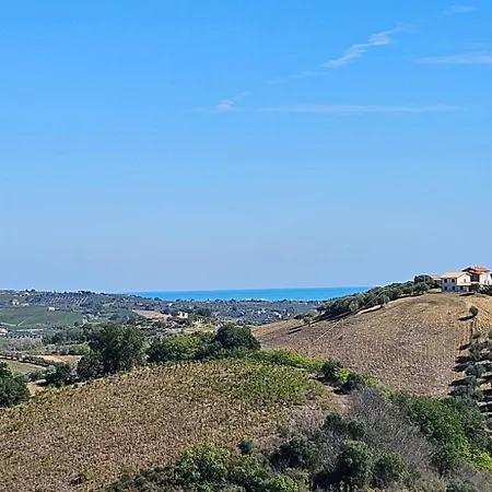 Colli *