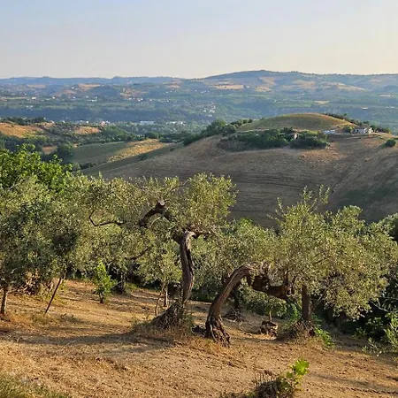 Colli Picciano