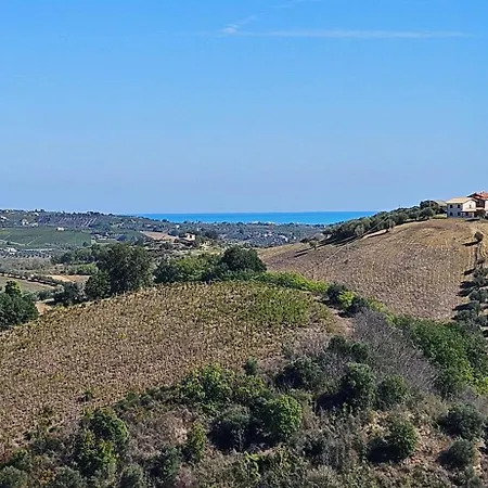 Colli Picciano